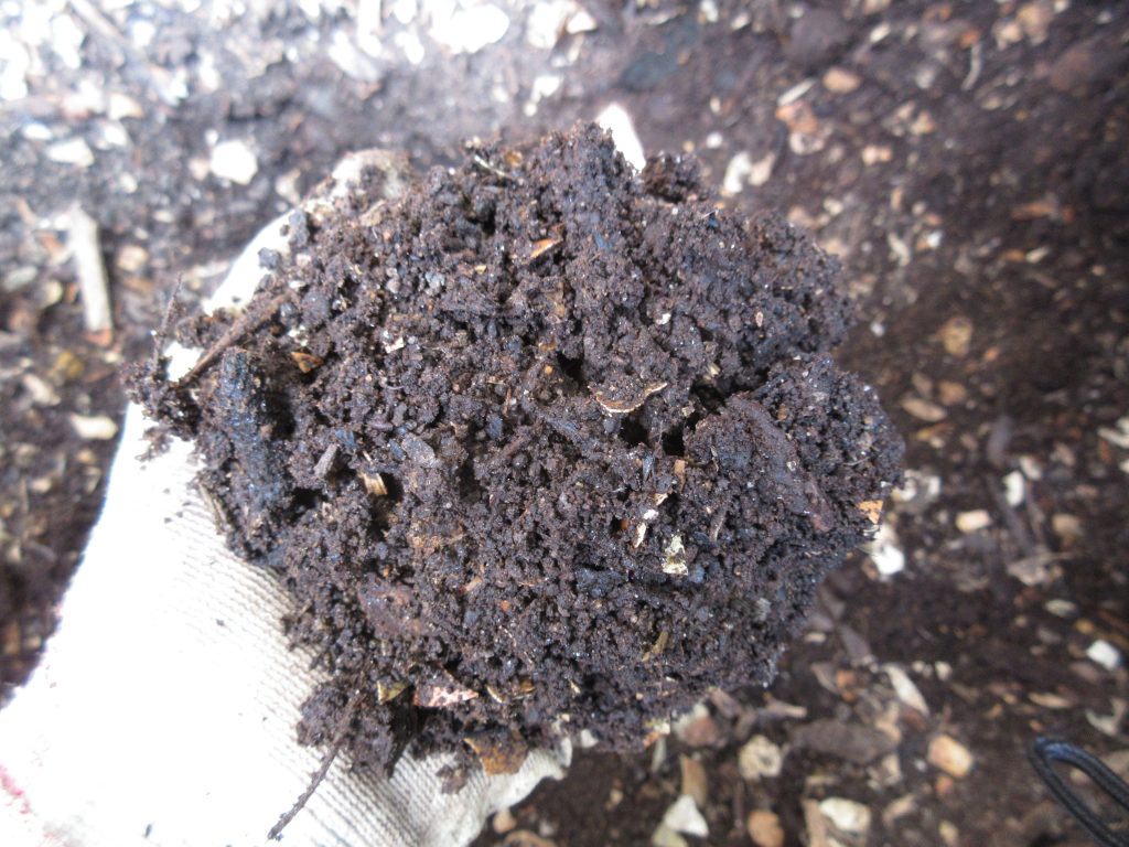 fresh compost