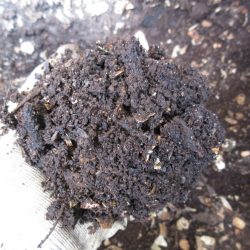 Composting Webinar This Saturday – May 16, 2020