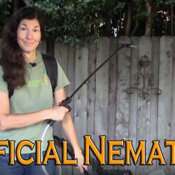 YouTube: How to Apply Beneficial Nematodes to Control Pests in Your Garden