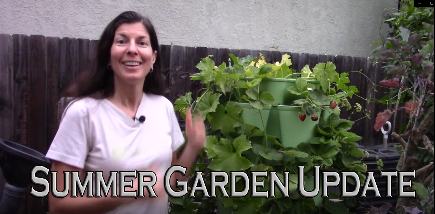 You are currently viewing YouTube: Summer Garden Update