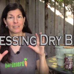 YouTube: Processing Dry Beans for Storage