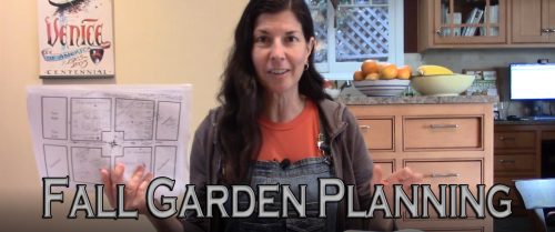 Read more about the article YouTube: How to Plan Your Fall Garden