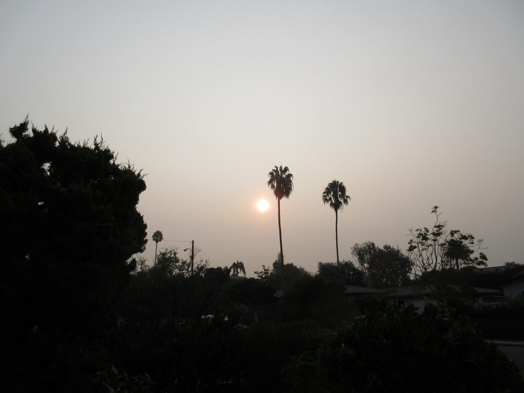 Smoky skies during fires leads to ash in the garden.