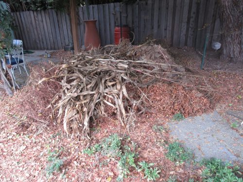 fall equinox shredding pile