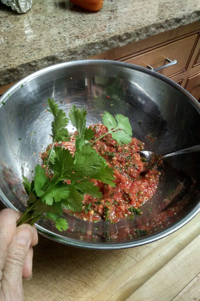 Fall equinox cilantro salsa