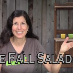 YouTube: Varieties for Your Fall Salad Garden