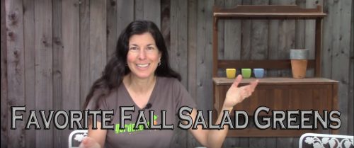 Read more about the article YouTube: Varieties for Your Fall Salad Garden