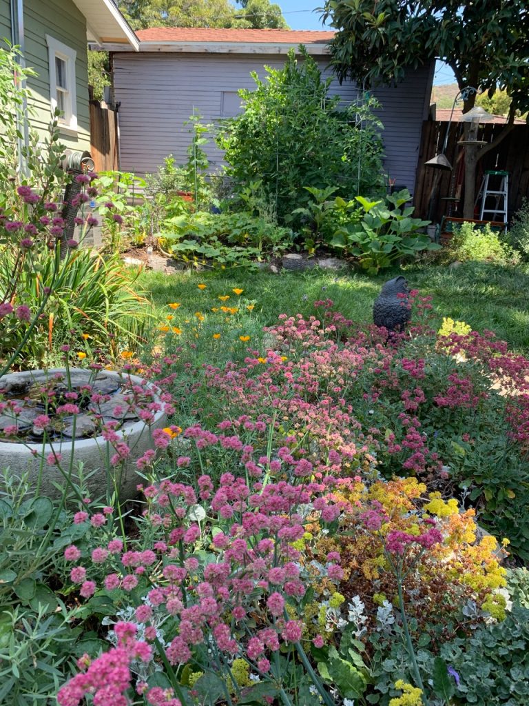 Hugelkultur veggie garden