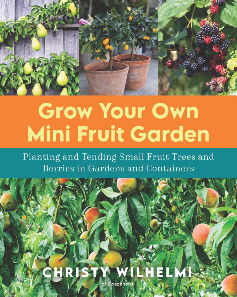 Grow Your Own Mini Fruit Garden Cover Art