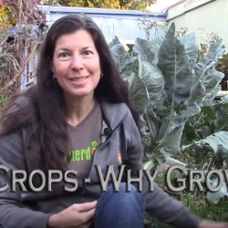 YouTube: Cover Crops – Why Grow Them?