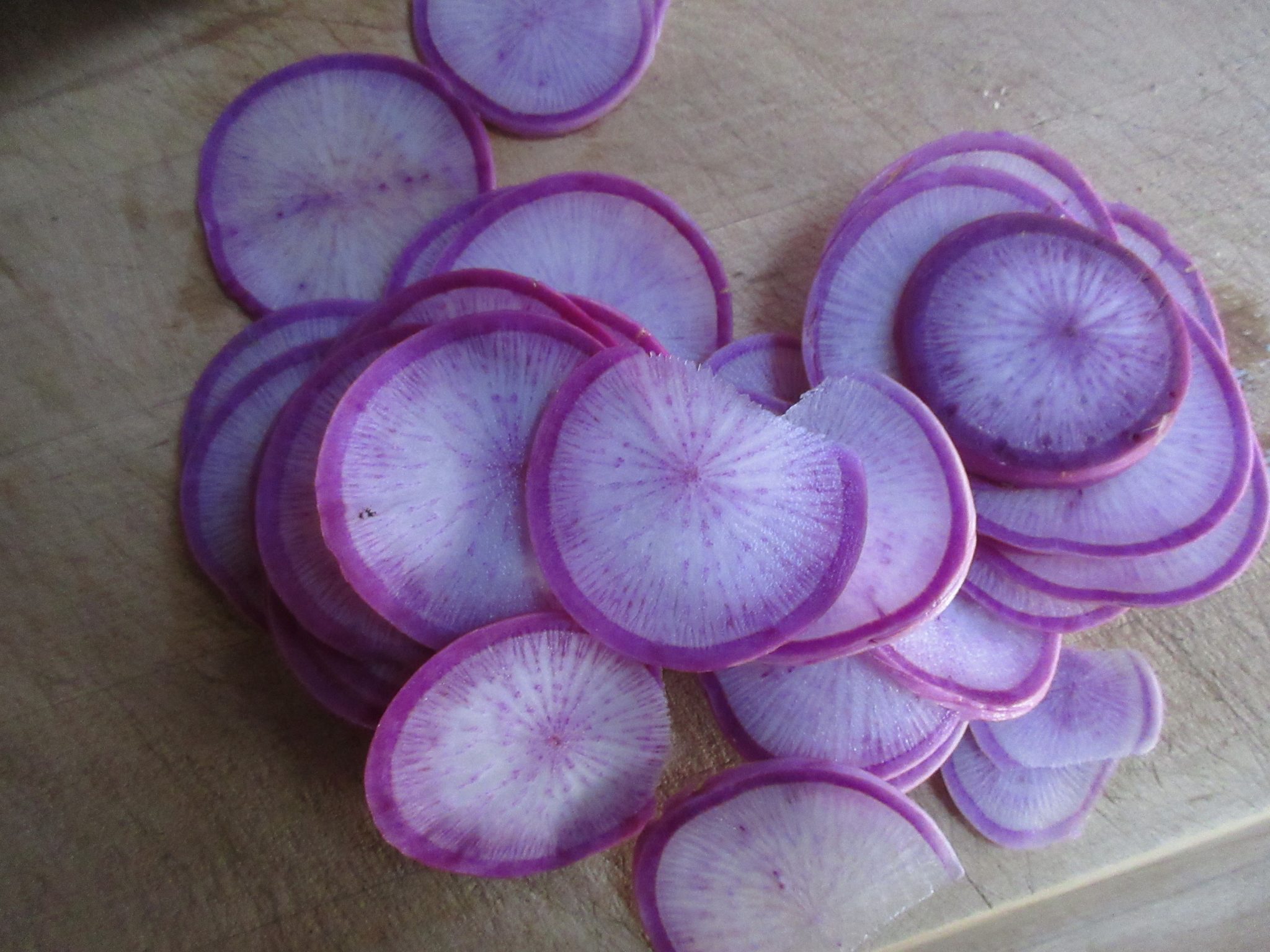 Recipe: Pickled Winter Radishes - Gardenerd