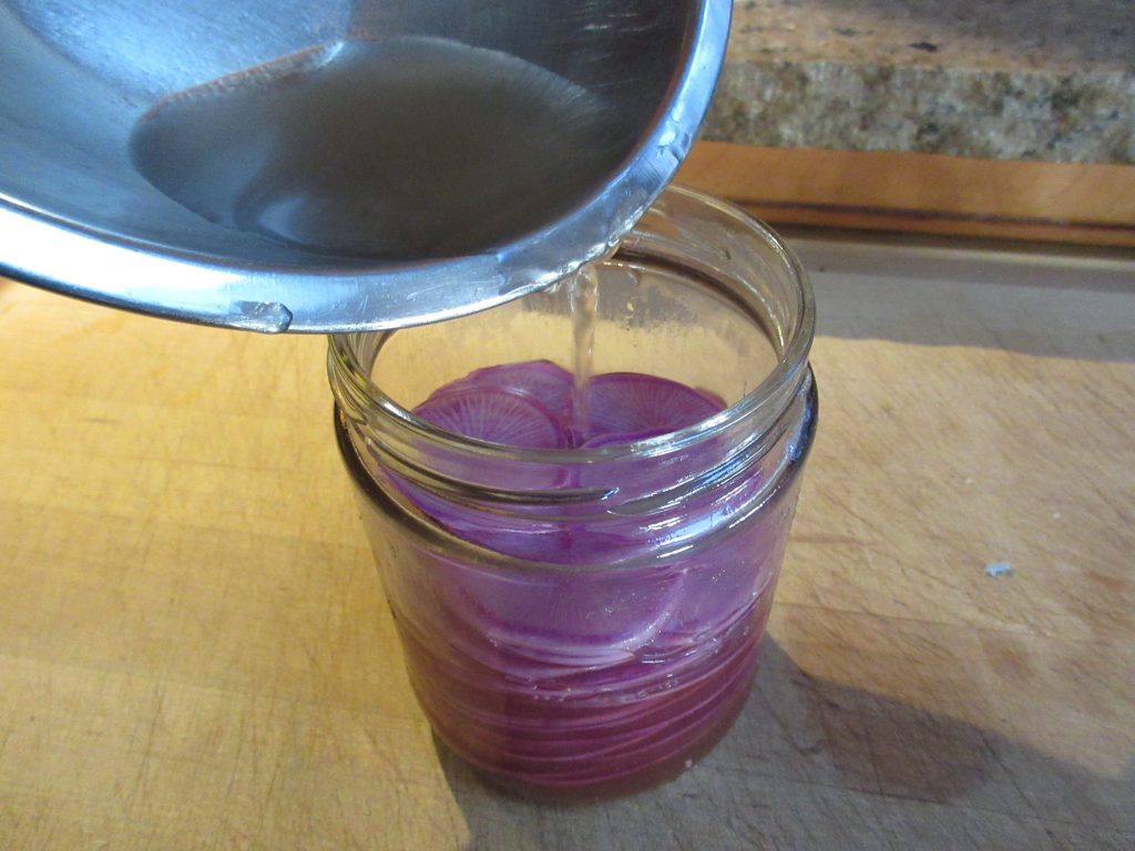 Brine and radishes 