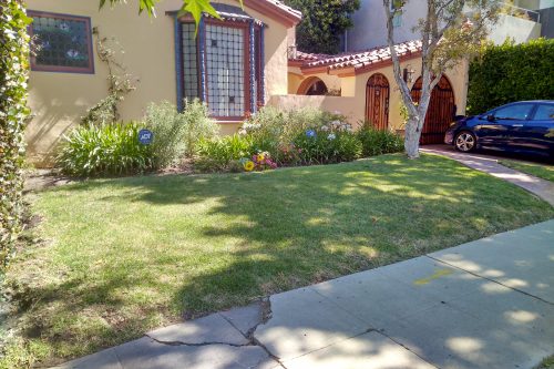 Design: Front Yard Mini Farm - Gardenerd