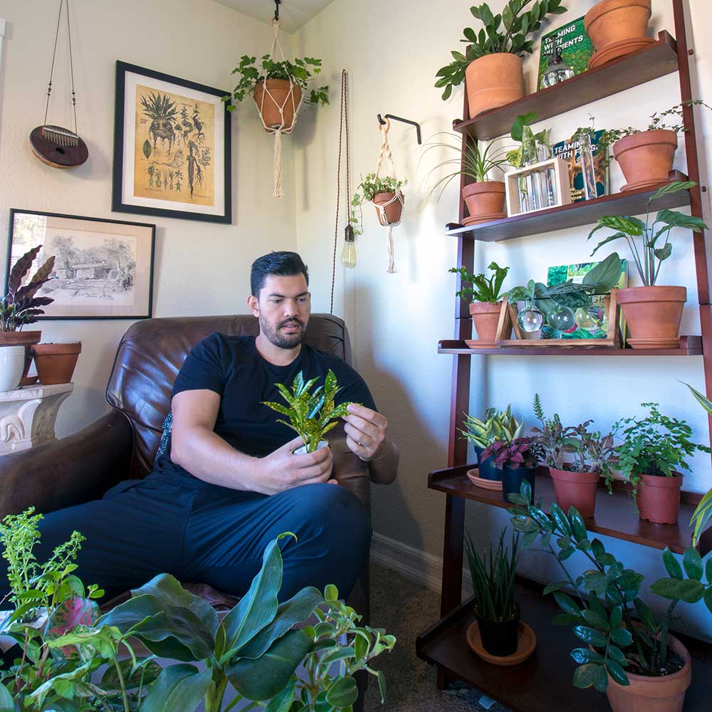 https://gardenerd.com/wp-content/uploads/2021/02/Kevin-Espiritu-Houseplants.jpg