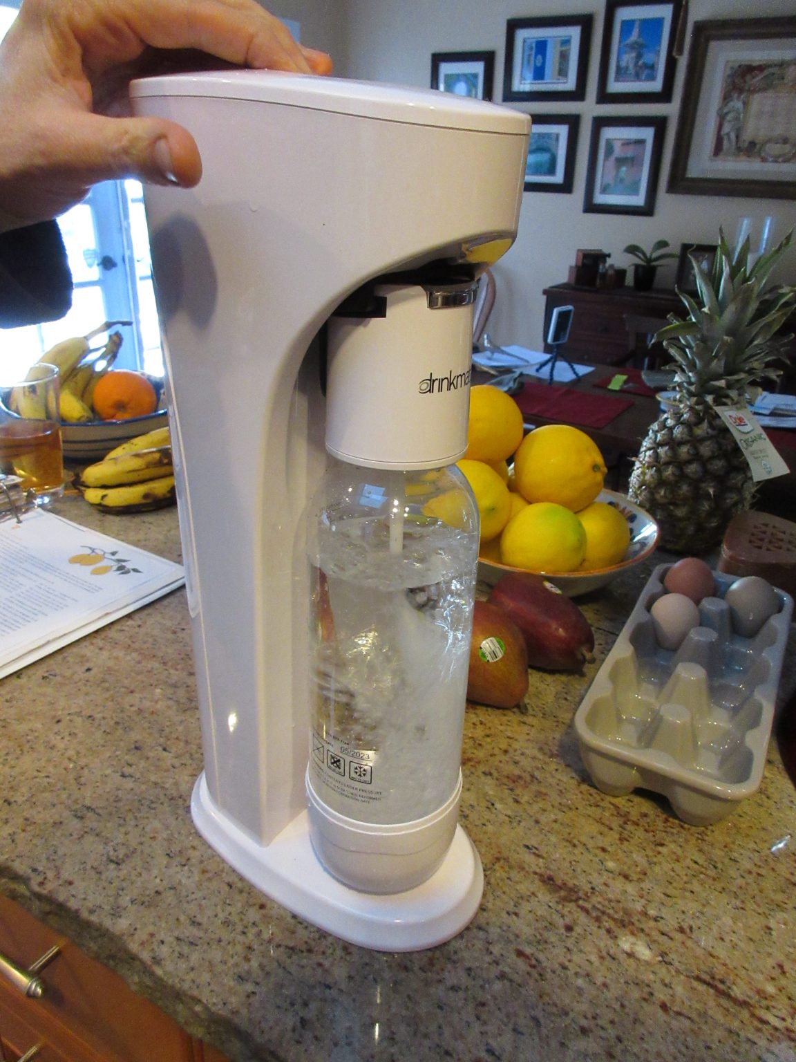 Review Drinkmate Carbonated Drink Maker Gardenerd