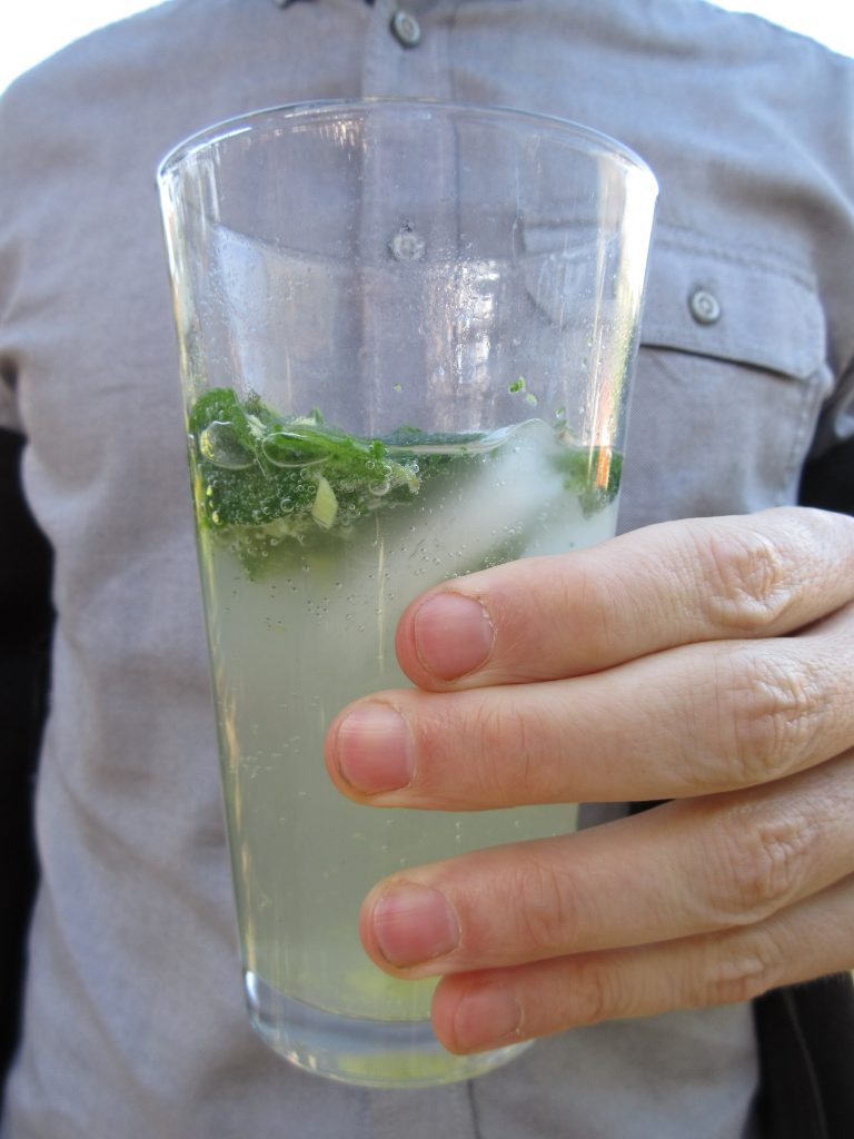 Ginger Mint Sparkling Water