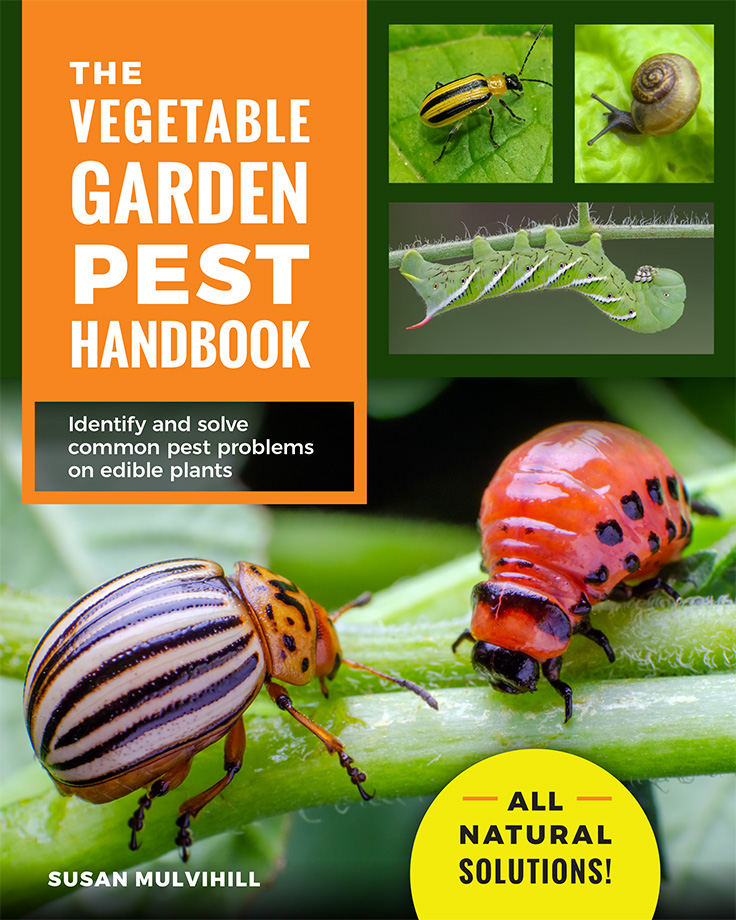 Vegetable Garden Pest Handbook