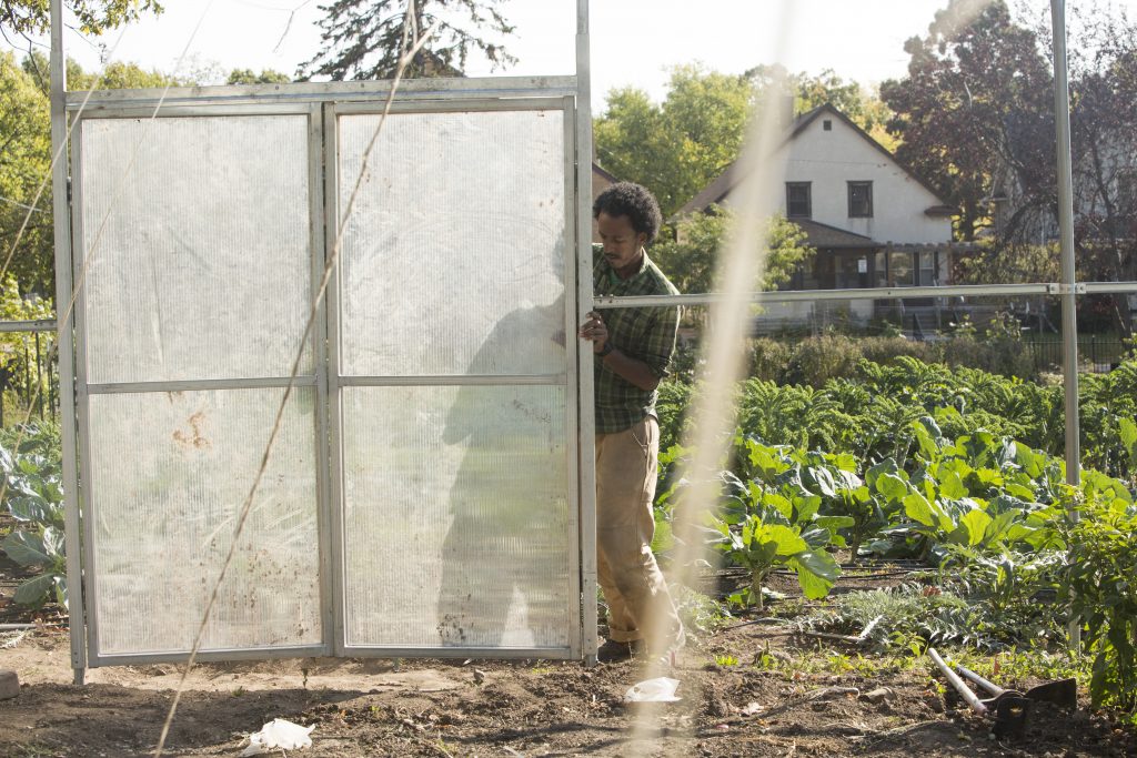 New greenhouse Tasha Powell