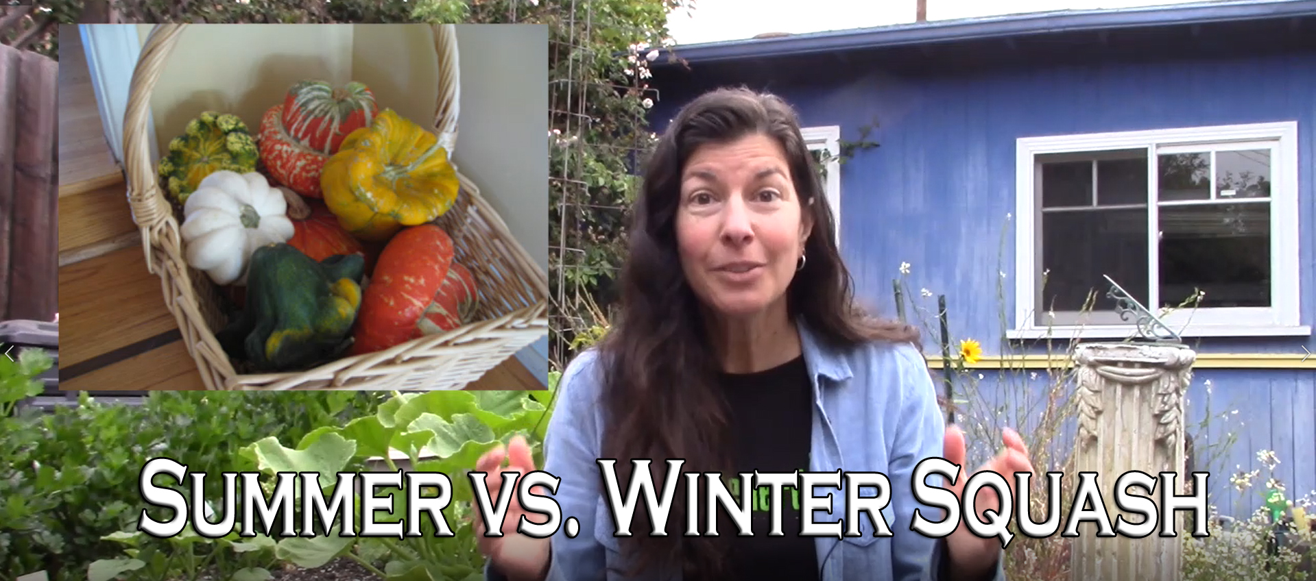 You are currently viewing YouTube: Summer Squash Vs. Winter Squash