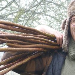 Podcast: The Ecological Gardener with Matt Rees-Warren