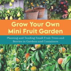 Grow Your Own Mini Fruit Garden