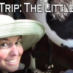 YouTube: Field Trip to The Little Farm