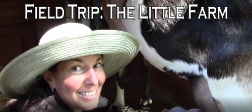 Read more about the article YouTube: Field Trip to The Little Farm