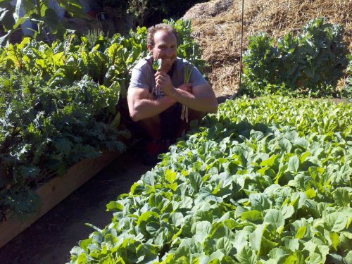 Read more about the article Podcast: Biodynamics with Steven Wynbrandt