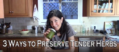 Read more about the article YouTube: 3 Ways to Preserve Tender Herbs For Long-Lasting Flavor