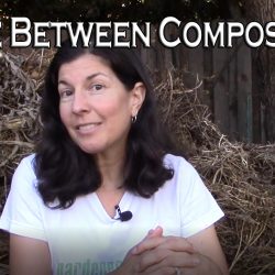 YouTube: Difference Between Compost and Mulch