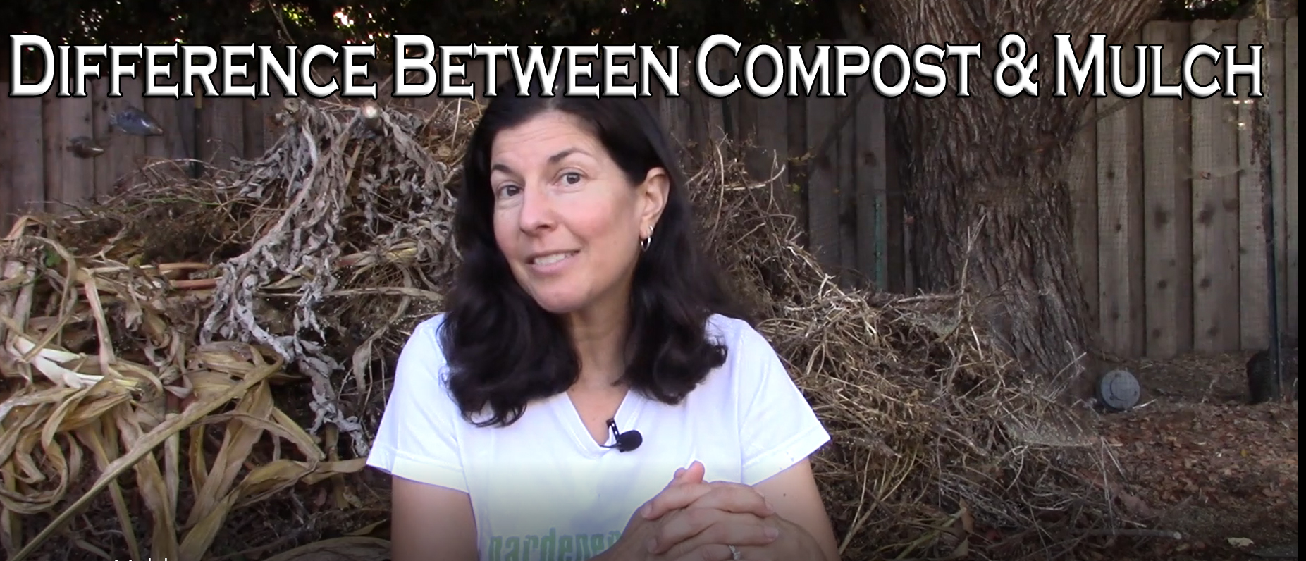 Read more about the article YouTube: Difference Between Compost and Mulch