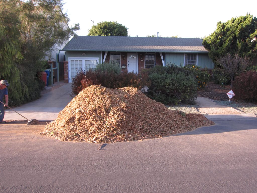 Giant pile of mulch