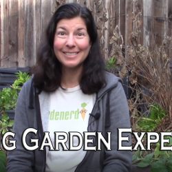 YouTube: How Should My Garden Look in September?