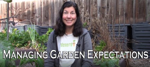 Read more about the article YouTube: How Should My Garden Look in September?