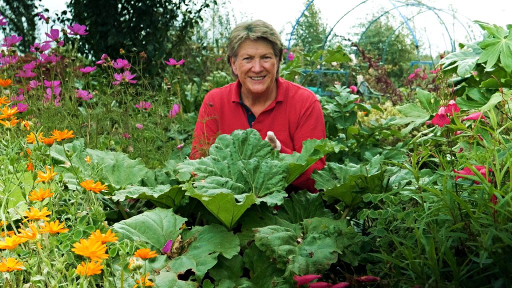 Liz Zorab and her garden