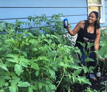 Sonya Harris and her tomatoes