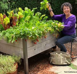 Podcast: Adaptive Gardening with Toni Gattone