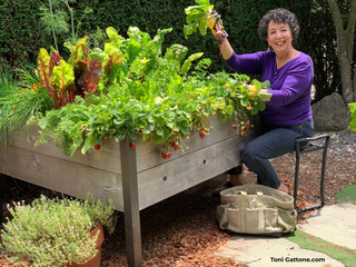 Read more about the article Podcast: Adaptive Gardening with Toni Gattone