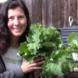 YouTube: Our Favorite Kale Varieties – What We’re Growing This Fall