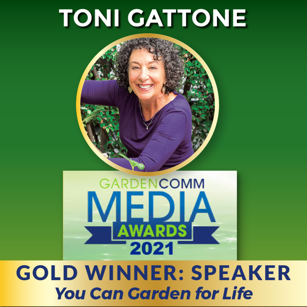 Toni Gattone Speaker Award