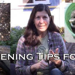 YouTube: 5 Vegetable Gardening Tips for 2022