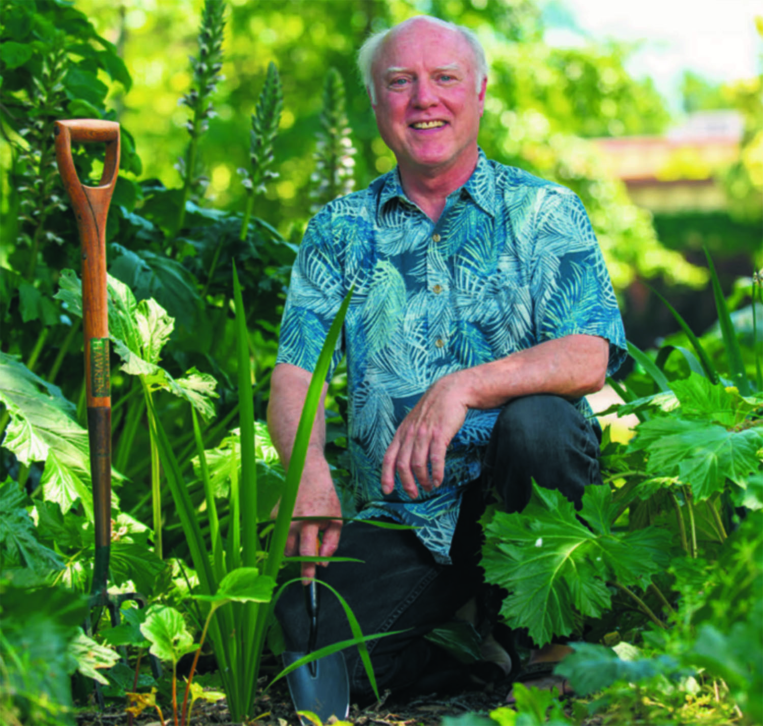 Read more about the article Podcast: Gardening Myths & Solutions with Robert Kourik