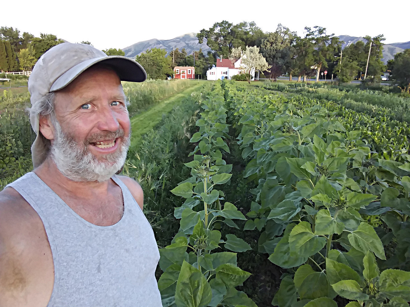 Read more about the article Landrace Gardening with Joseph Lofthouse