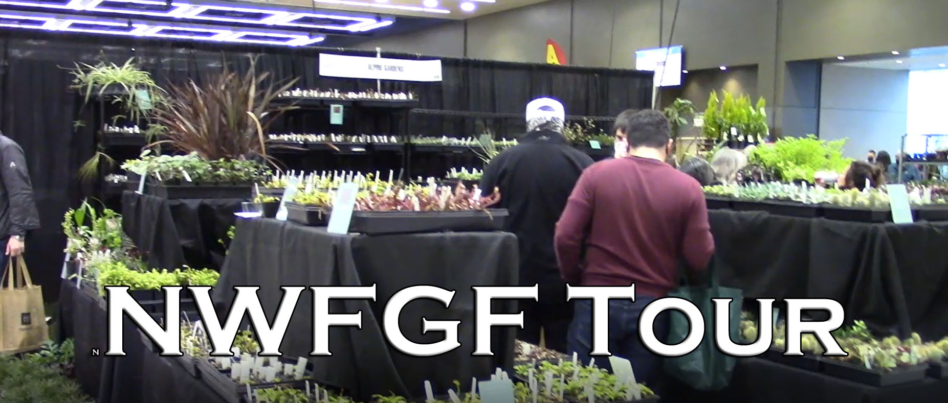 You are currently viewing YouTube: Northwest Flower & Garden Festival Tour 2022