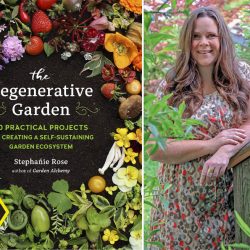 Podcast: The Regenerative Garden with Stephanie Rose