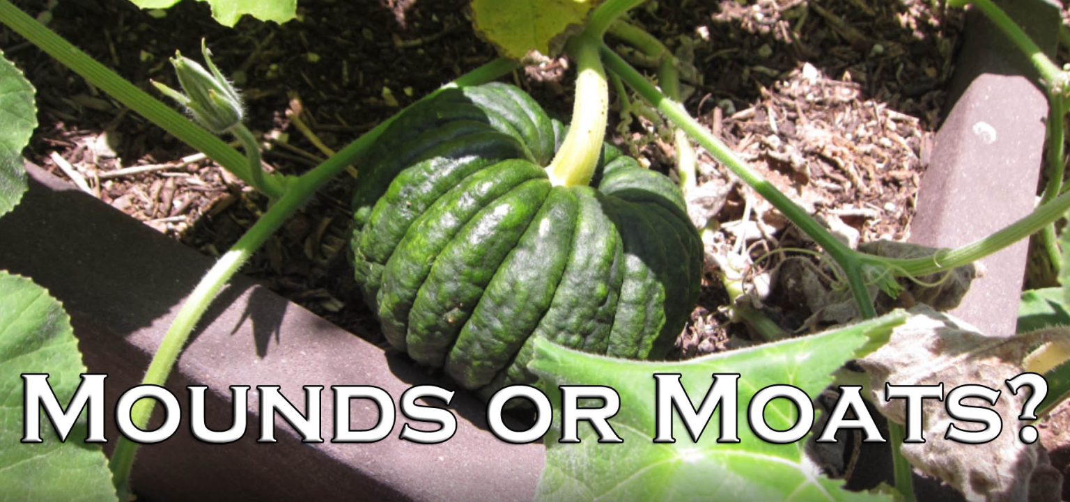 YouTube Growing Squash and Melons Mounds or Moats? Gardenerd