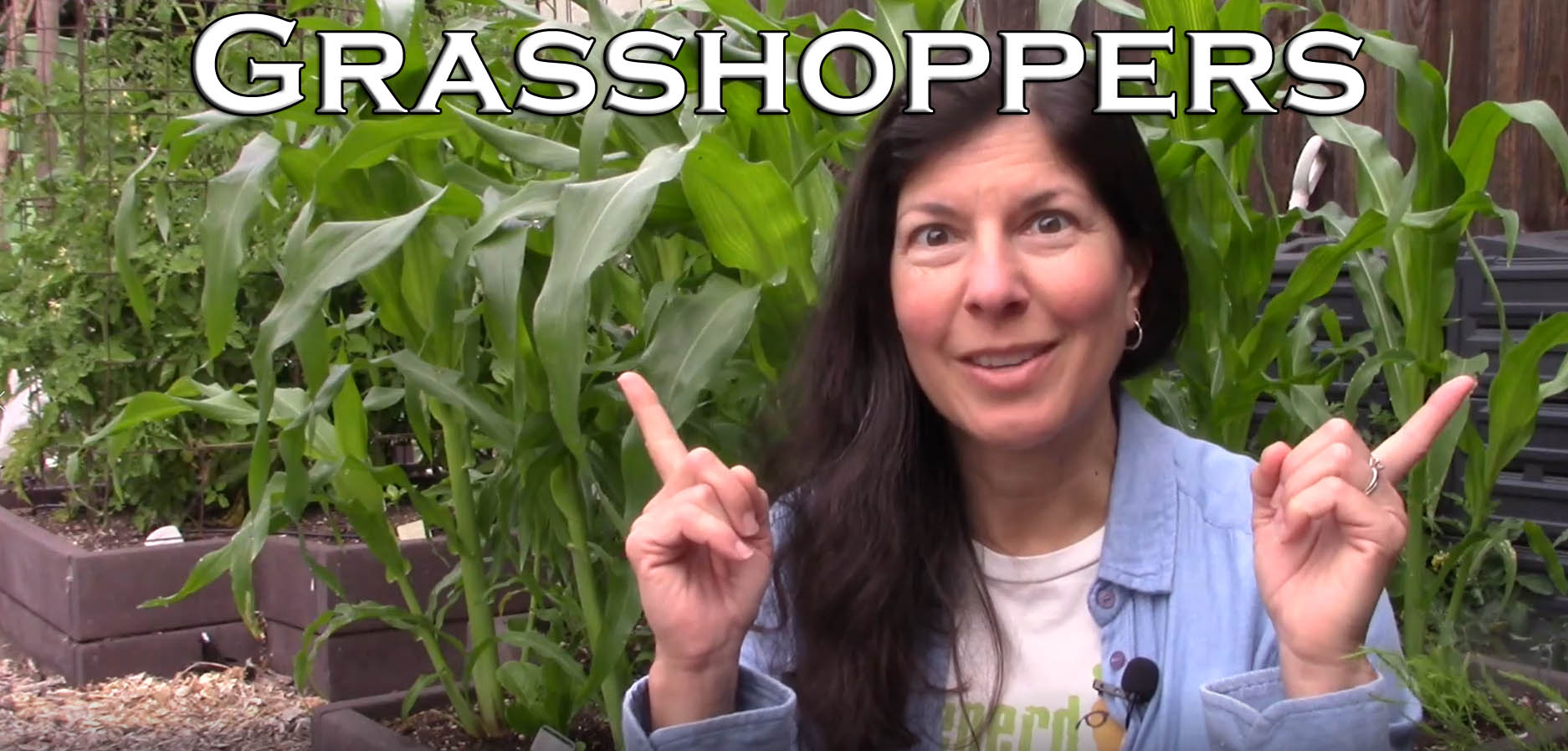 You are currently viewing YouTube: How to Manage Grasshoppers