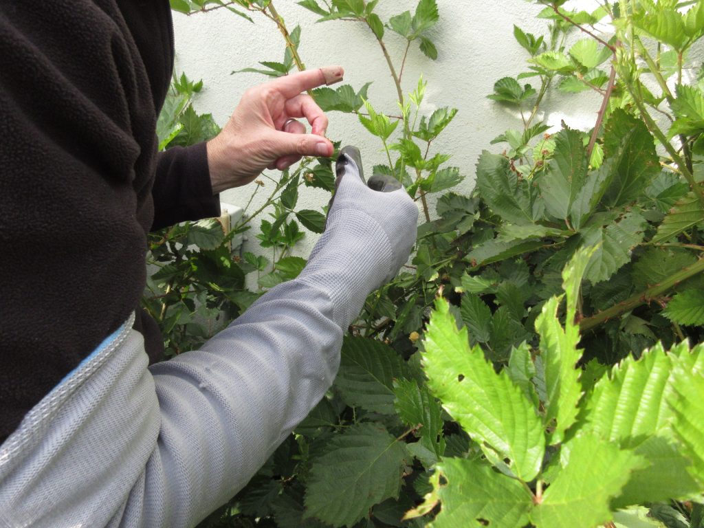 long-sleeved gloves testing1