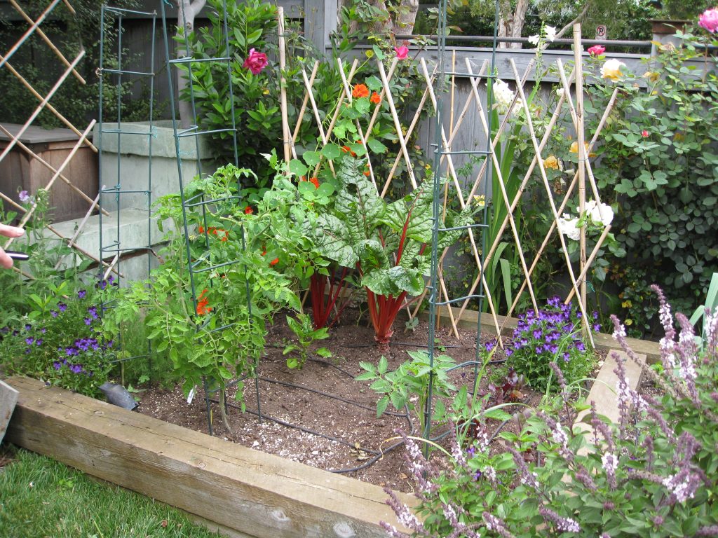 Raised Bed TOO Big