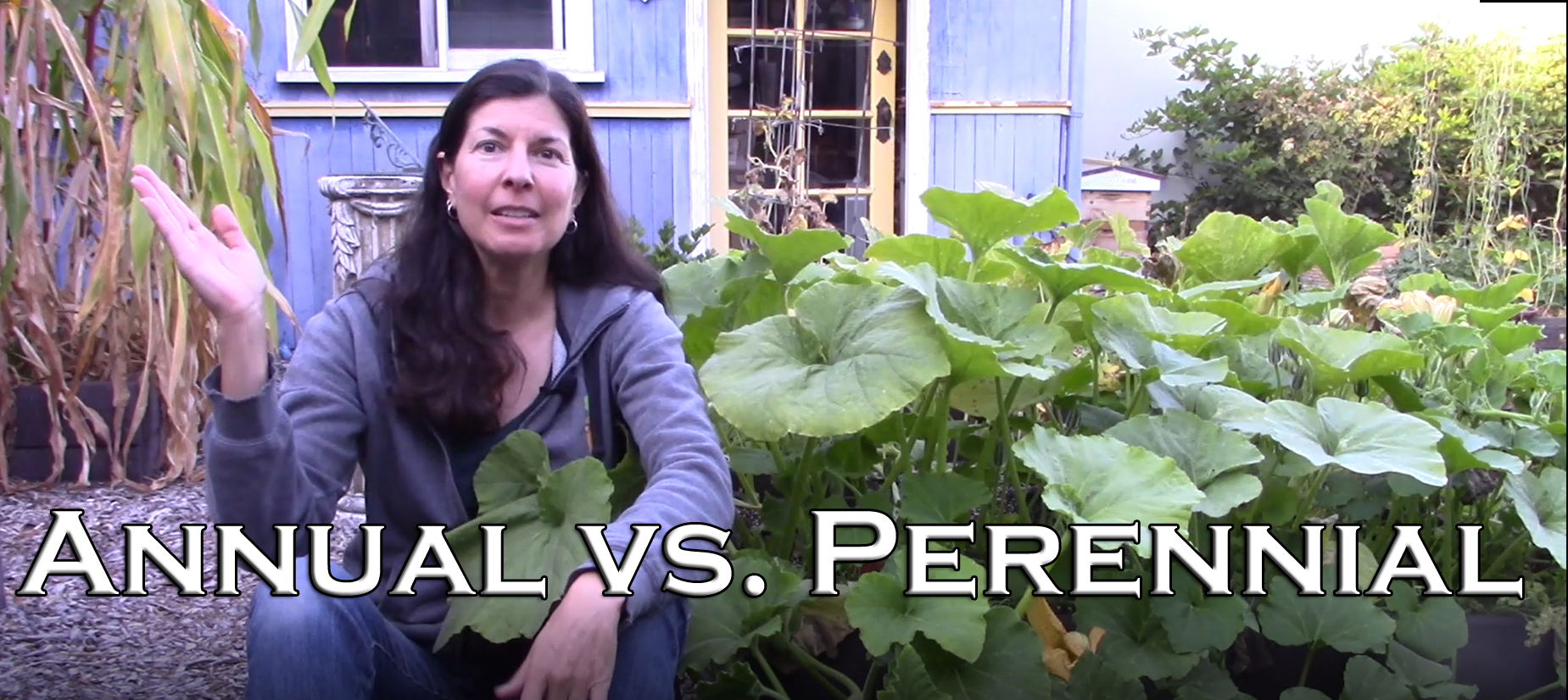 Read more about the article YouTube: Difference Between Annual & Perennial